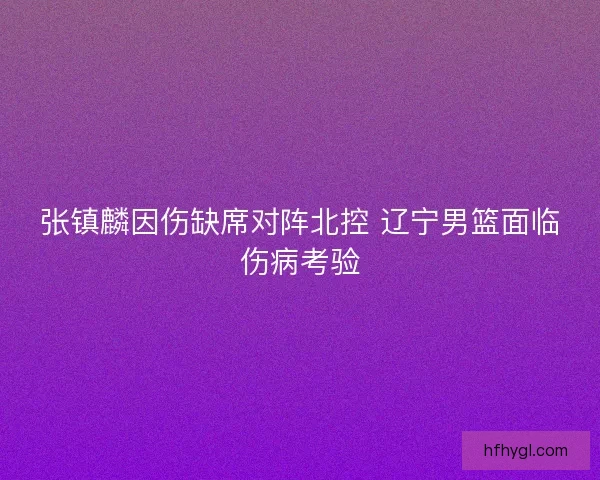 张镇麟因伤缺席对阵北控 辽宁男篮面临伤病考验
