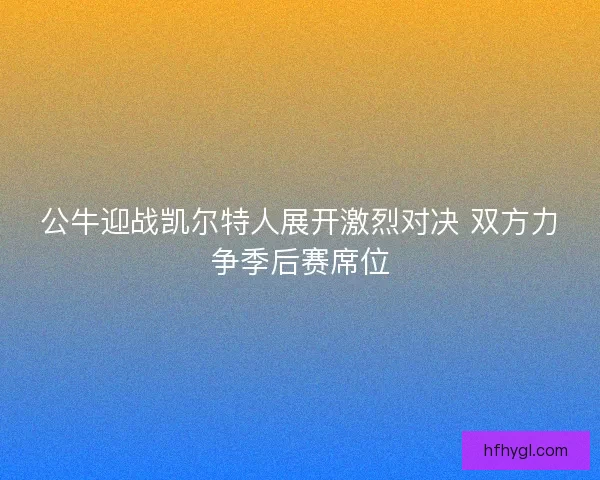公牛迎战凯尔特人展开激烈对决 双方力争季后赛席位