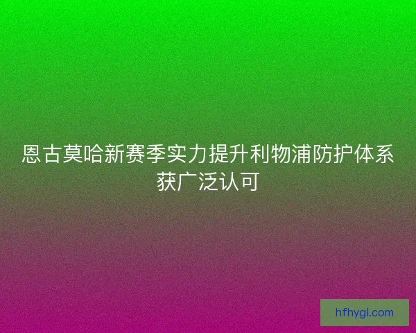 恩古莫哈新赛季实力提升利物浦防护体系获广泛认可